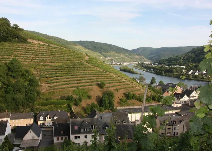 Fewo-am-rotheschbach *